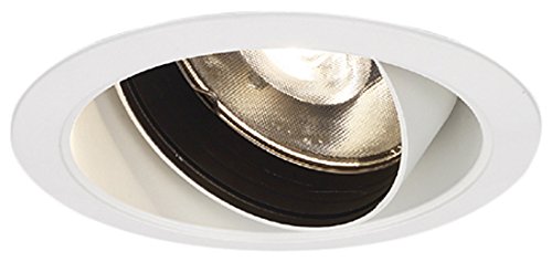 東芝ライテック LEDユニバーサルダウンライト 2000シリーズ 器具本体 高効率 狭角タイプ 埋込穴φ125 温白色 LEDD-200 送料無料