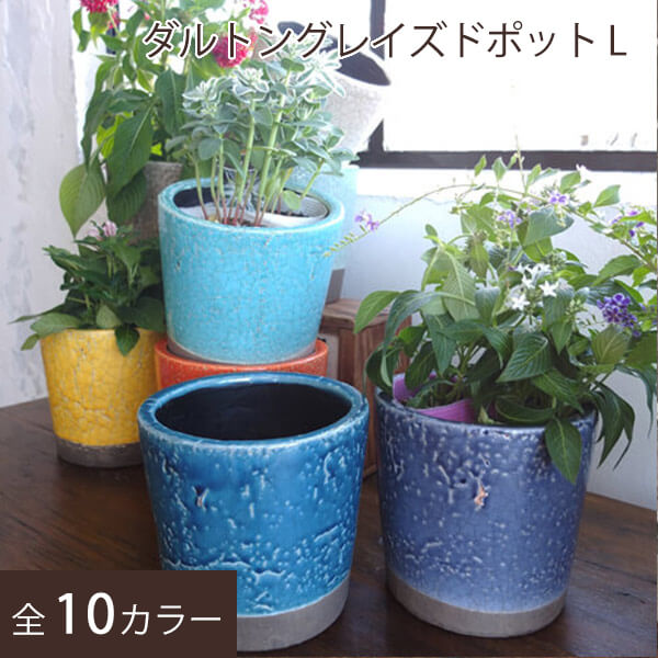 Dulton ダルトン 植木鉢 おしゃれ 陶器鉢 小型 コンパクト フラワーポット かわいい 室内 屋内 部屋 屋外 テラコッタ 花 サボテン ハーブ 園芸 ガーデニング 鉢植え インテリア おすすめ 売れ筋 底穴あり プランター グレイズドポット L Educaps Com Br