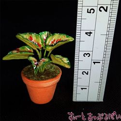 楽天市場 ミニチュア 観葉植物の鉢植え その３ Smpln11 ドールハウス用 ミニチュアのすぃーとあっぷるぱい