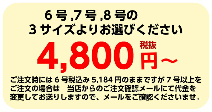 3d立体型のケーキ 大きめサイズ 6 8号 父の日 おうち時間 プチギフト 誕生日 バースデーケーキ パーティ サプライズ キャラクターケーキ お祝い 結婚記念日 Cooltonindia Com