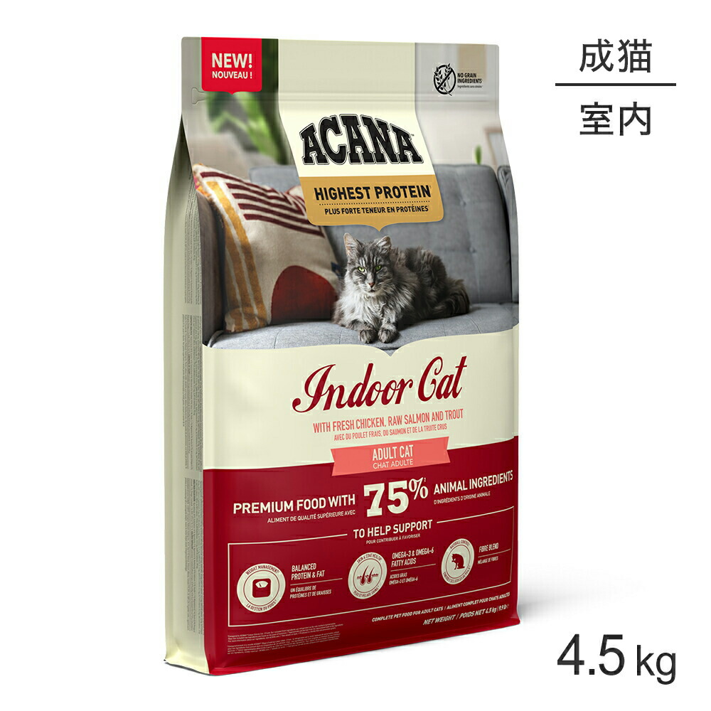 ねこお父ちゃんのデンタルケアに！グリニーズでおいしく世話をする