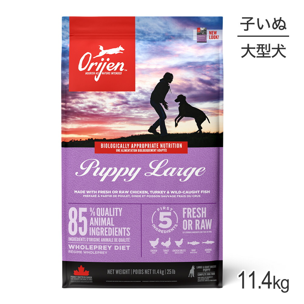 ねこお父ちゃんのデンタルケアに！グリニーズでおいしく世話をする