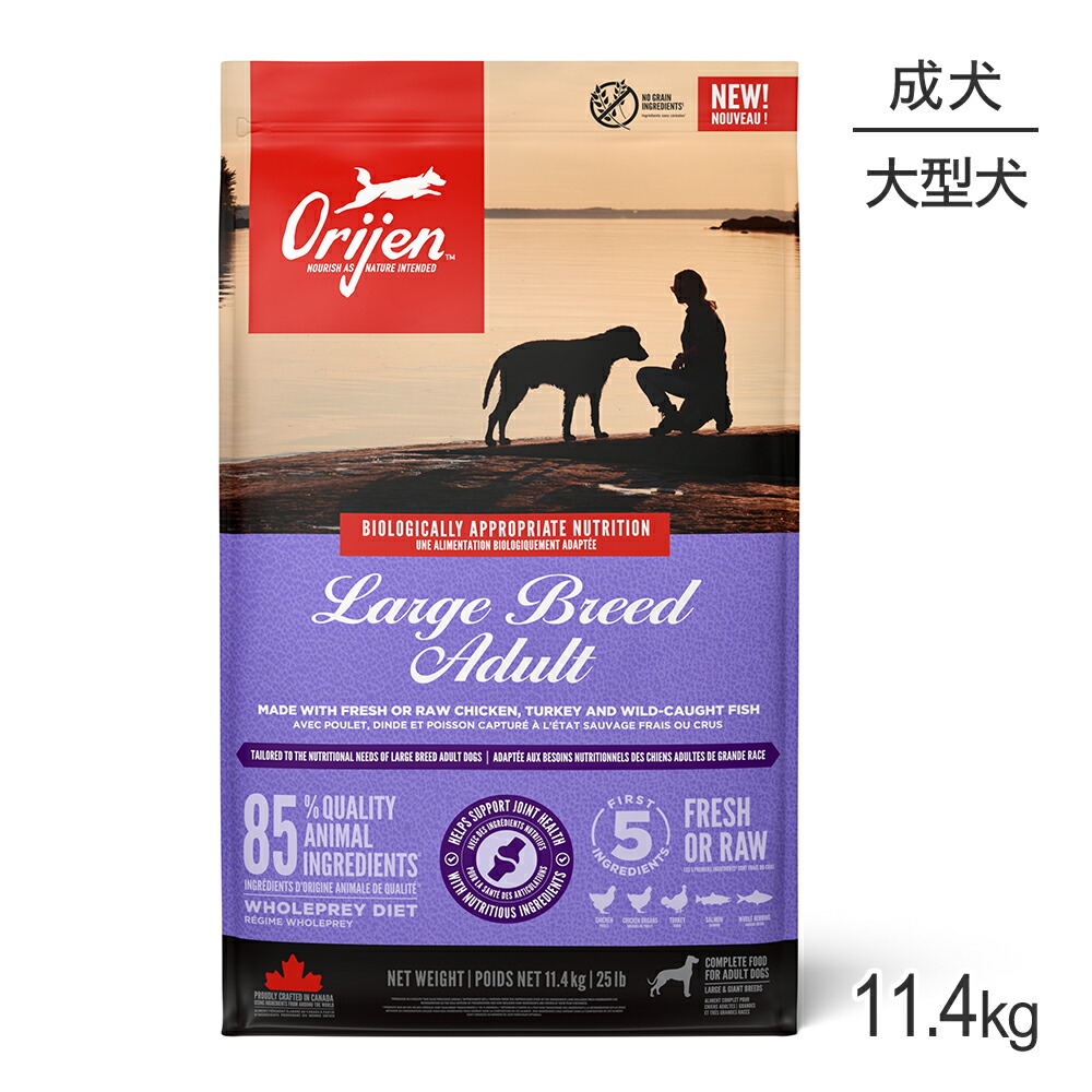 ねこお父ちゃんのデンタルケアに！グリニーズでおいしく世話をする