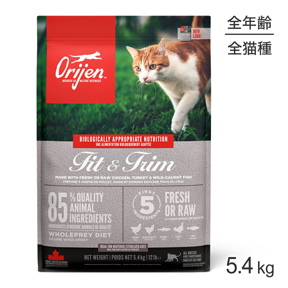 ねこお父ちゃんのデンタルケアに！グリニーズでおいしく世話をする
