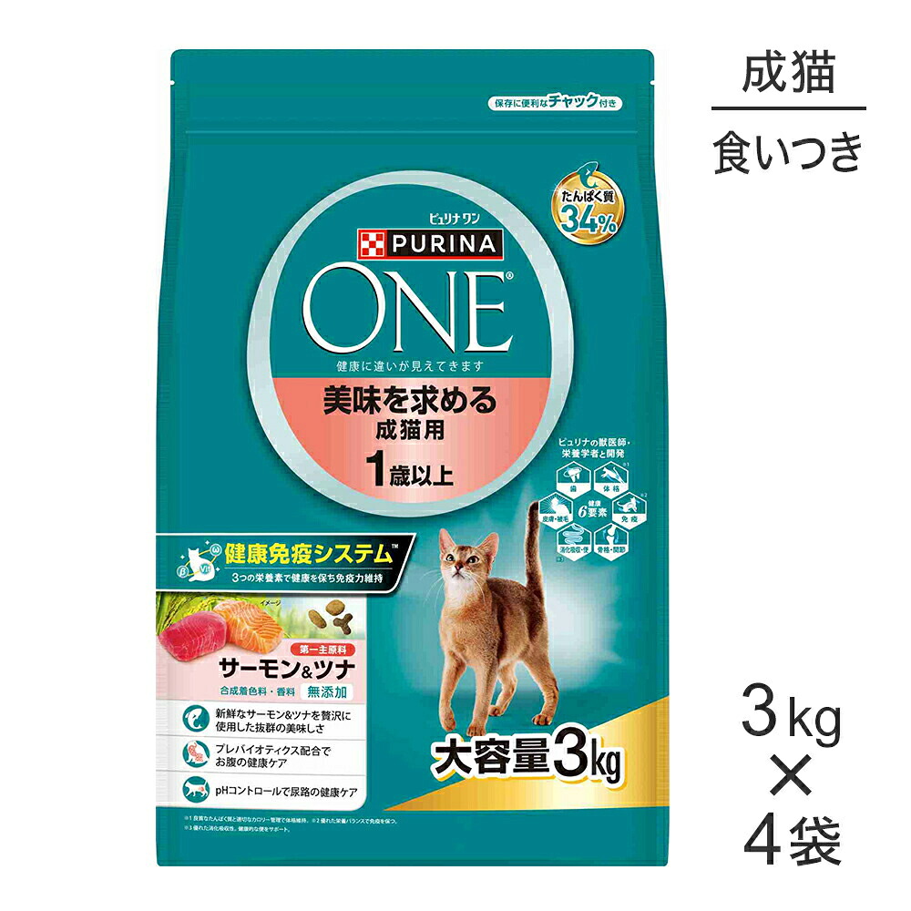 ねこお父ちゃんのデンタルケアに！グリニーズでおいしく世話をする