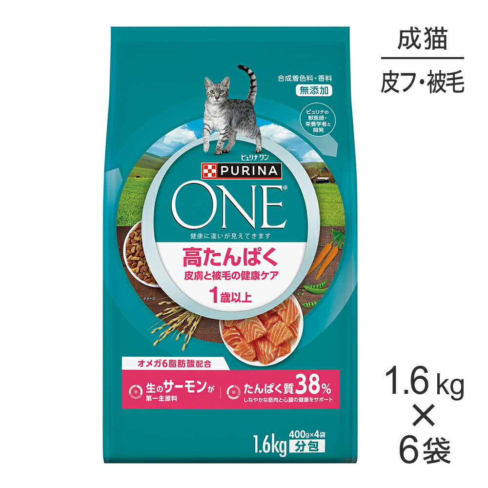 ねこお父ちゃんのデンタルケアに！グリニーズでおいしく世話をする