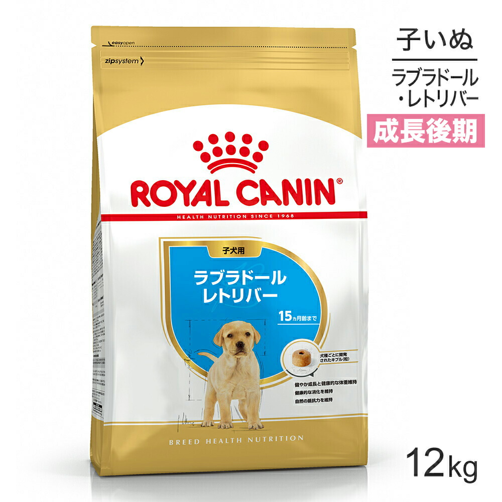 ねこお父ちゃんのデンタルケアに！グリニーズでおいしく世話をする