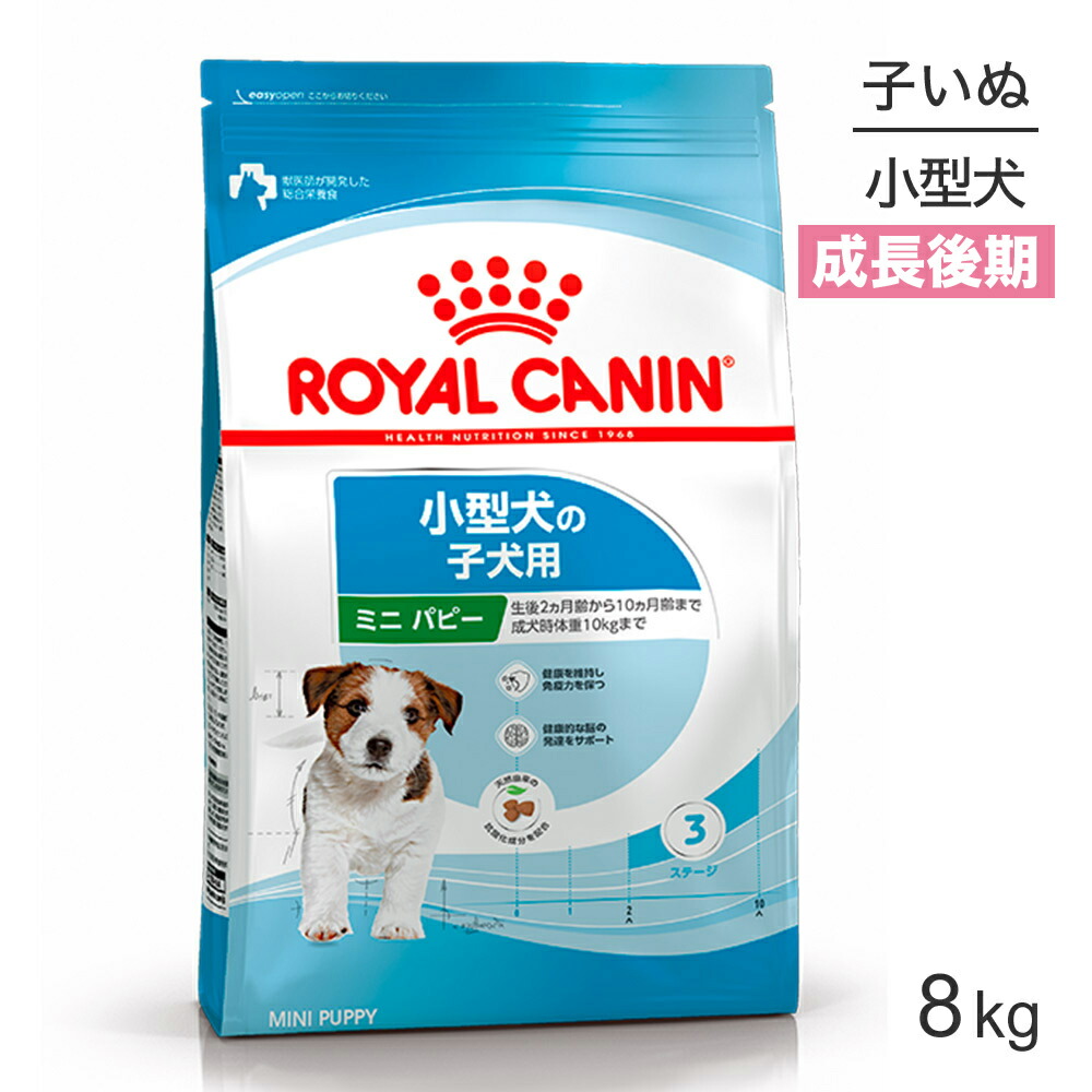 ねこお父ちゃんのデンタルケアに！グリニーズでおいしく世話をする