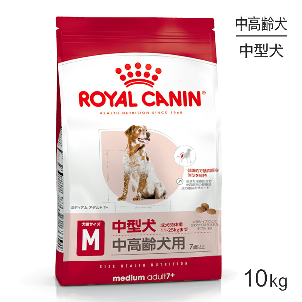 ねこお父ちゃんのデンタルケアに！グリニーズでおいしく世話をする