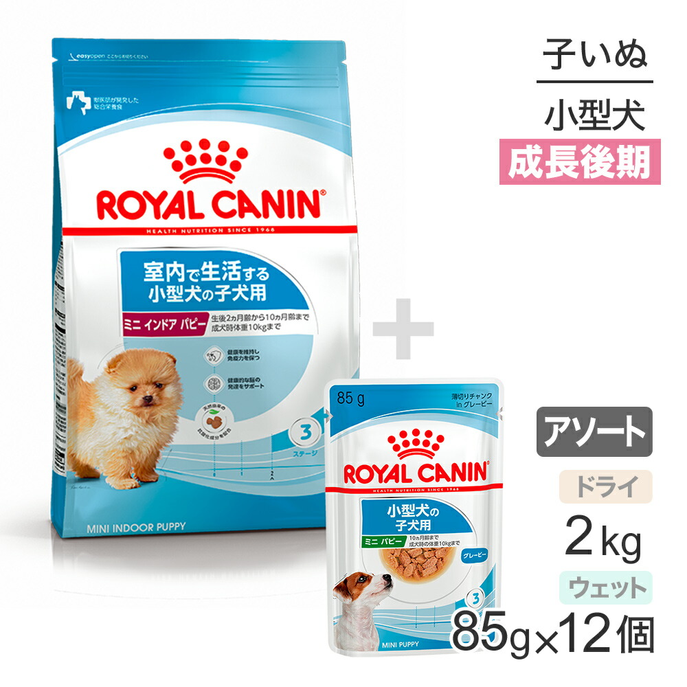 【最大400円ｵﾌｸｰﾎﾟﾝ■要事前取得】子犬成長後期【はじめてセット】ロイヤルカナン SHN ミニ インドア パピー ドライ 2kg×1 + ウェット85g×12 (犬・ドッグ)[正規品]
