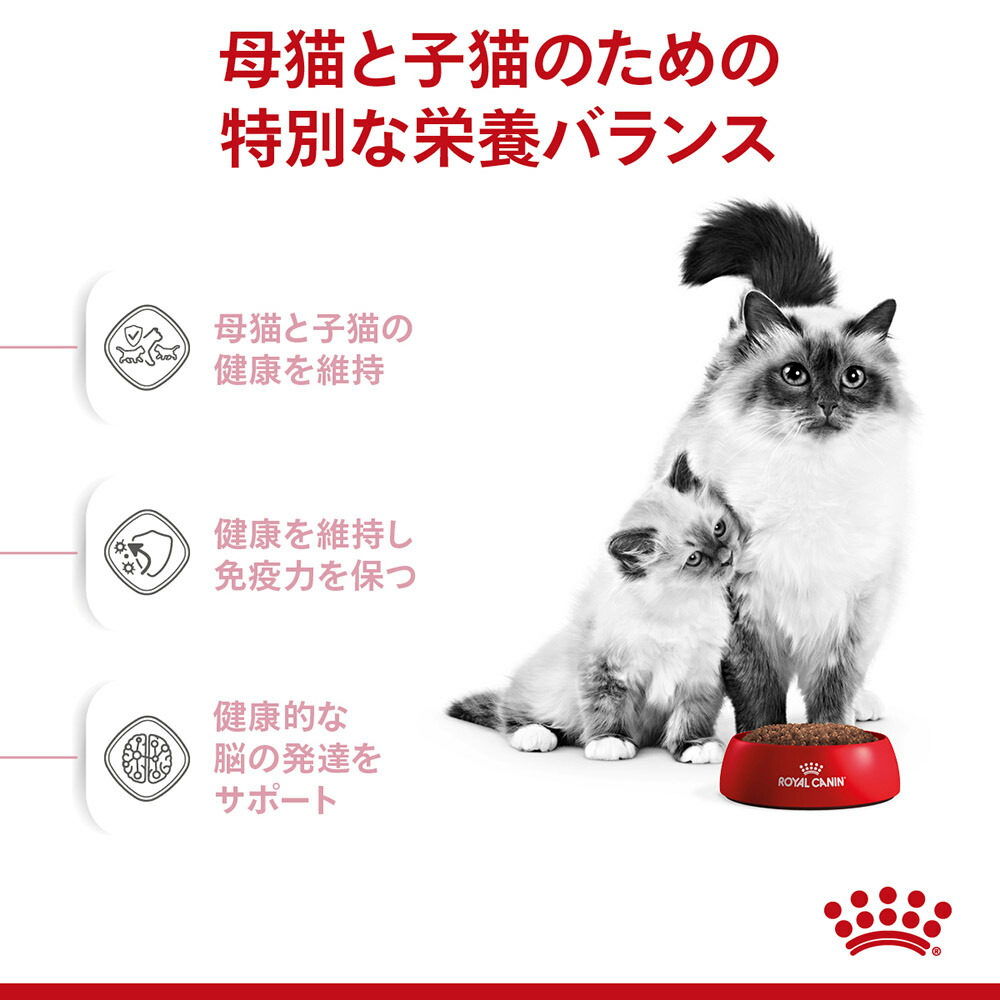 91%OFF!】 ロイヤルカナン マザー ベビーキャット 猫用 猫 キャット 正規品 fucoa.cl