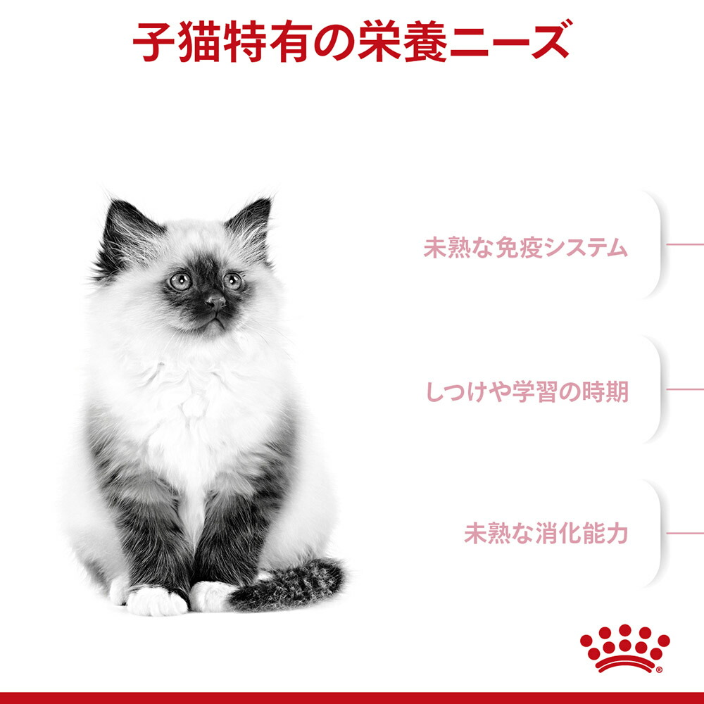 子猫成長後期ロイヤルカナン キトン ウェットグレービー85g×12 キャット ドライ2kg×1 正規品 猫 送料無料/新品 ドライ2kg×1