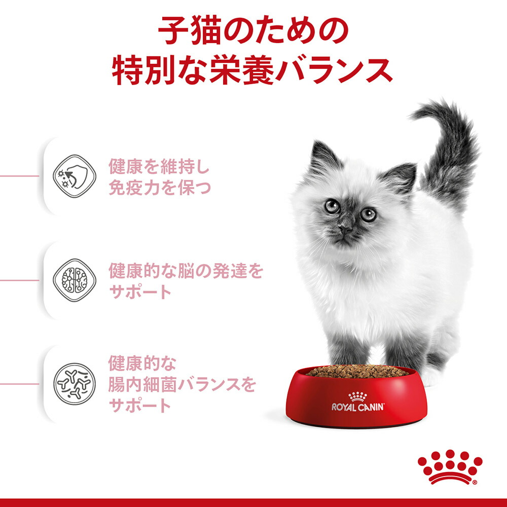 子猫成長後期ロイヤルカナン キトン ウェットグレービー85g×12 キャット ドライ2kg×1 正規品 猫 送料無料/新品 ドライ2kg×1