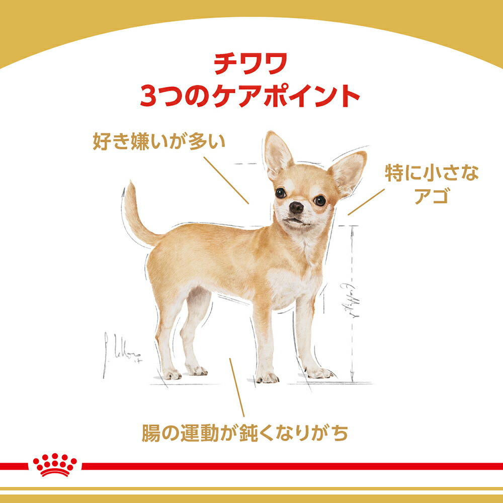 安い割引 ロイヤルカナンチワワ成犬用３kg×４袋 - ペットフード - hlt.no