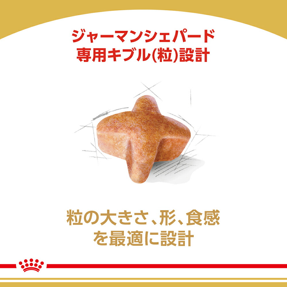 【楽天市場】ロイヤルカナン ジャーマンシェパード 成犬・高齢犬用 11kg (犬・ドッグ) [正規品] 犬 ドライフード ドッグフード：スイートペット