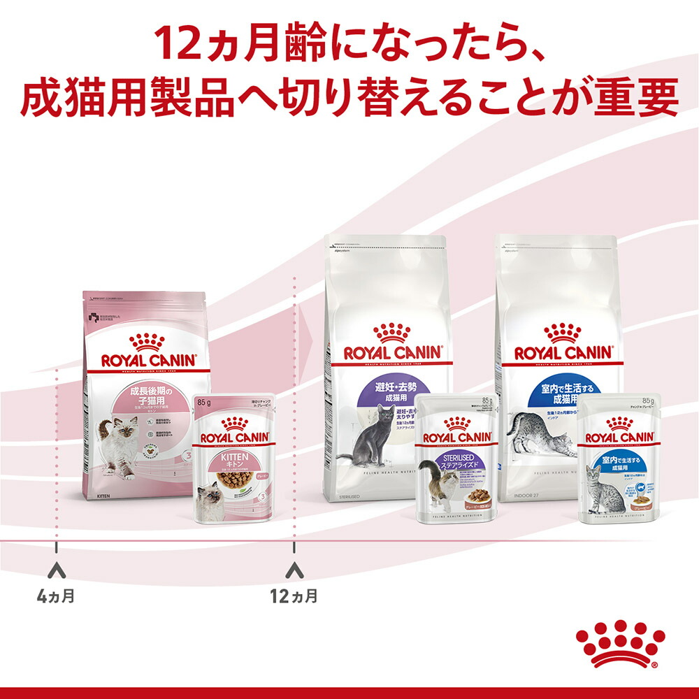 子猫成長後期ロイヤルカナン キトン ウェットグレービー85g×12 キャット ドライ2kg×1 正規品 猫 送料無料/新品 ドライ2kg×1