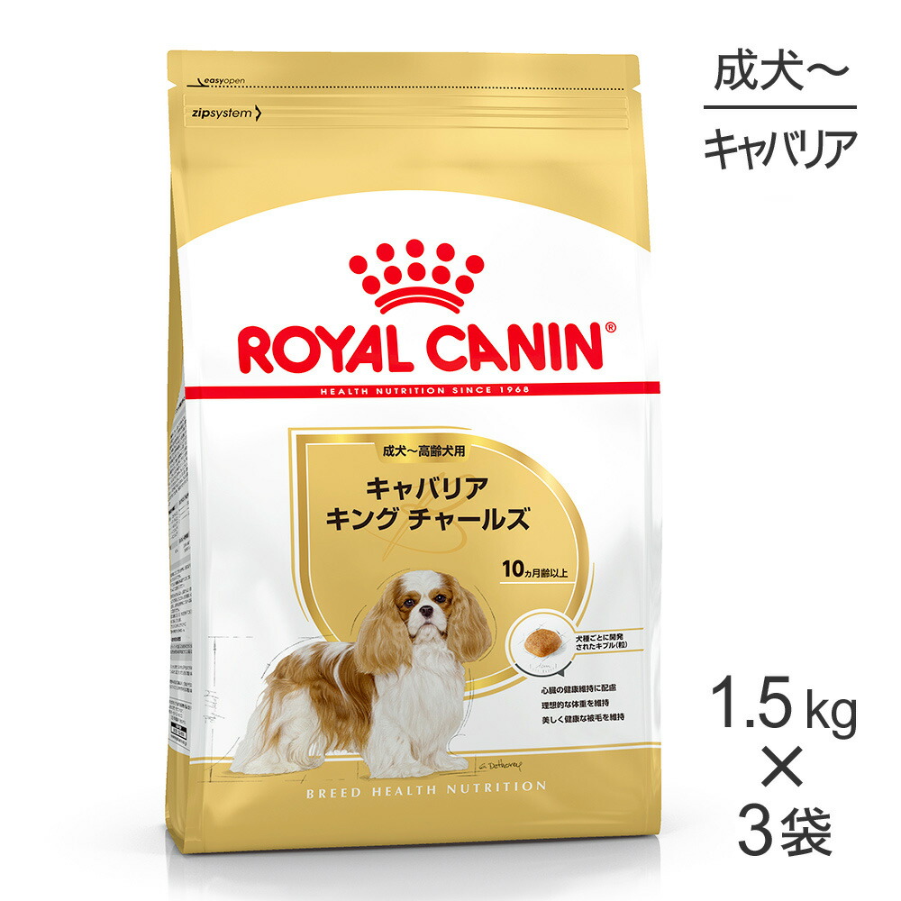 ねこお父ちゃんのデンタルケアに！グリニーズでおいしく世話をする