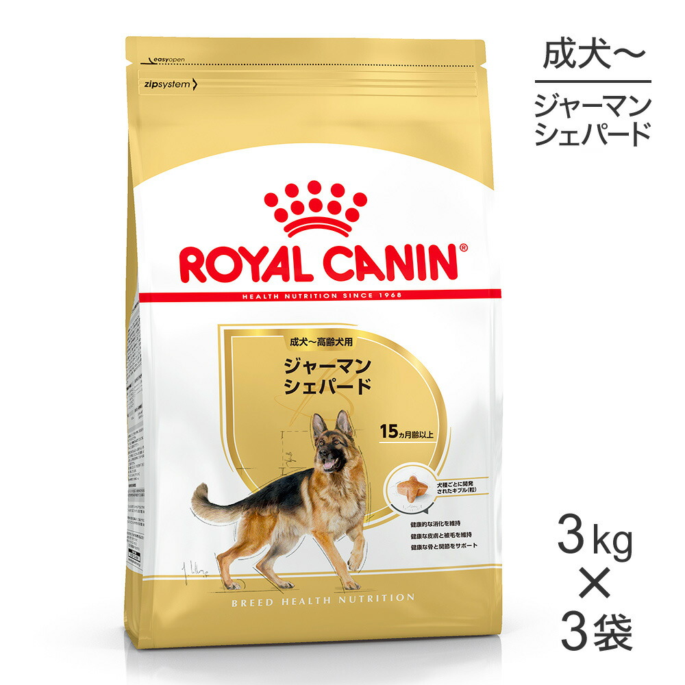 ねこお父ちゃんのデンタルケアに！グリニーズでおいしく世話をする