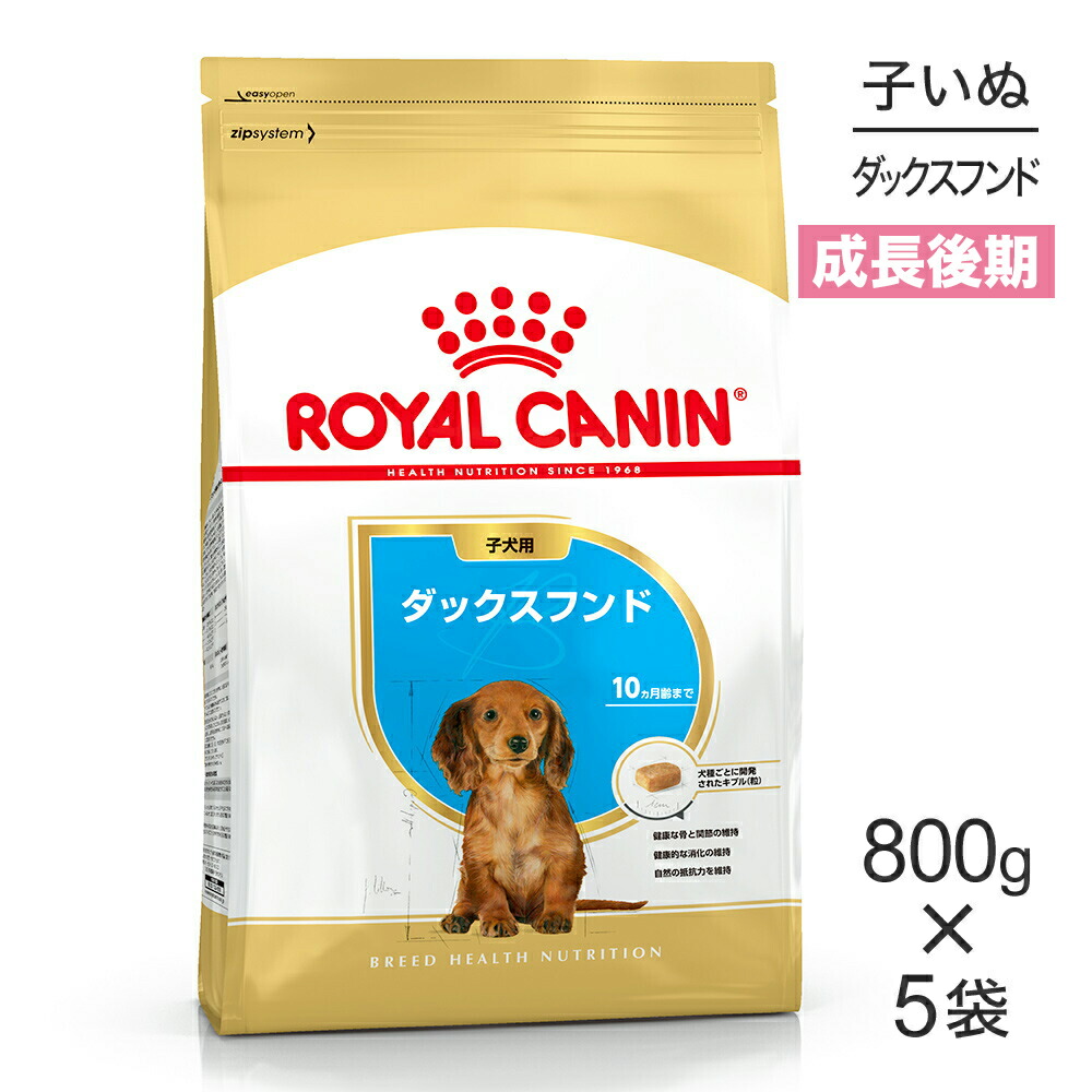ねこお父ちゃんのデンタルケアに！グリニーズでおいしく世話をする