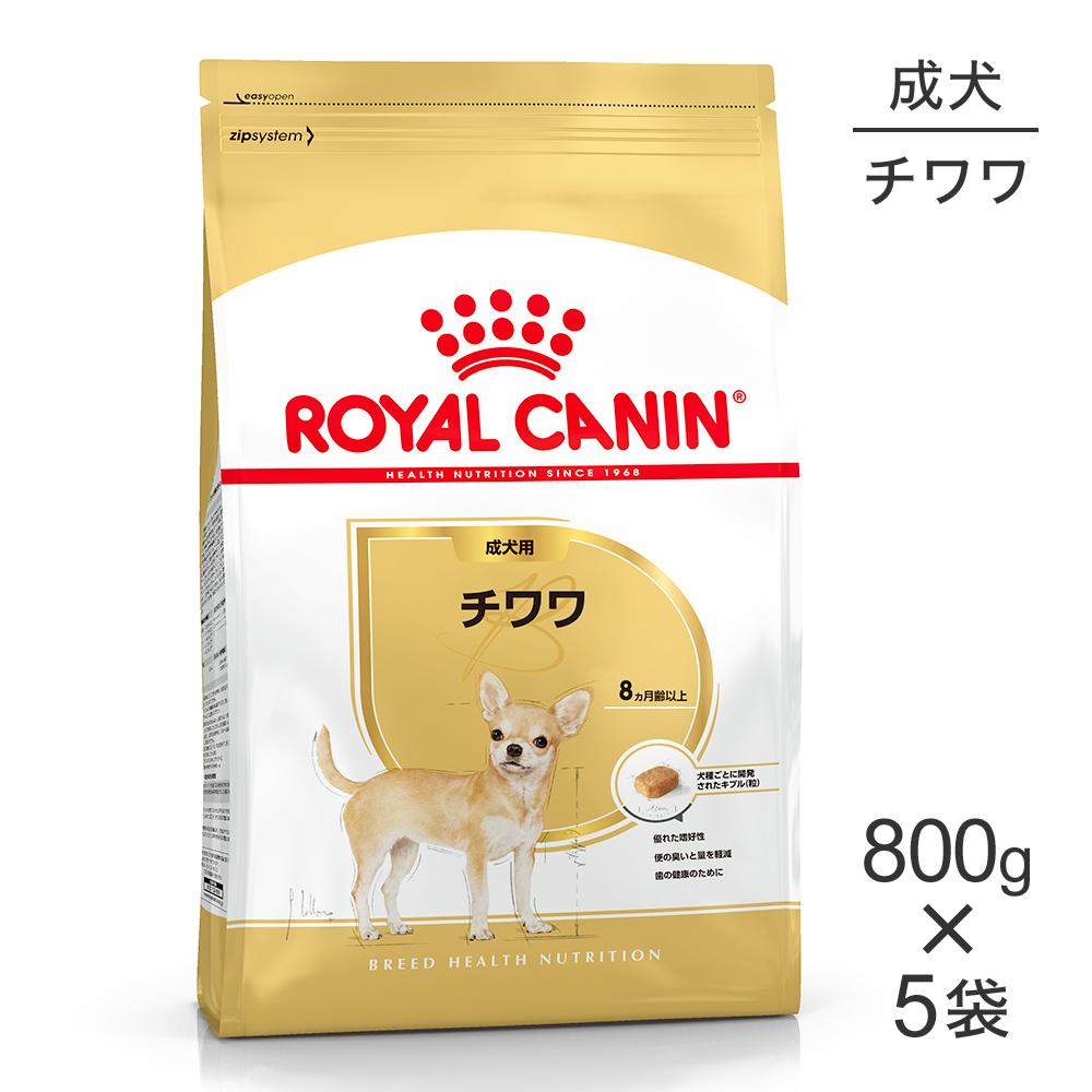 ねこお父ちゃんのデンタルケアに！グリニーズでおいしく世話をする