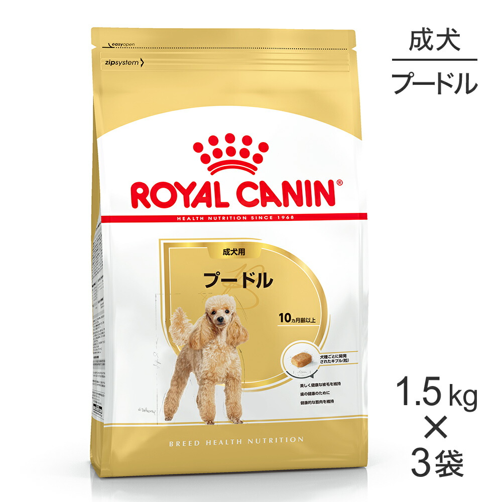 ねこお父ちゃんのデンタルケアに！グリニーズでおいしく世話をする