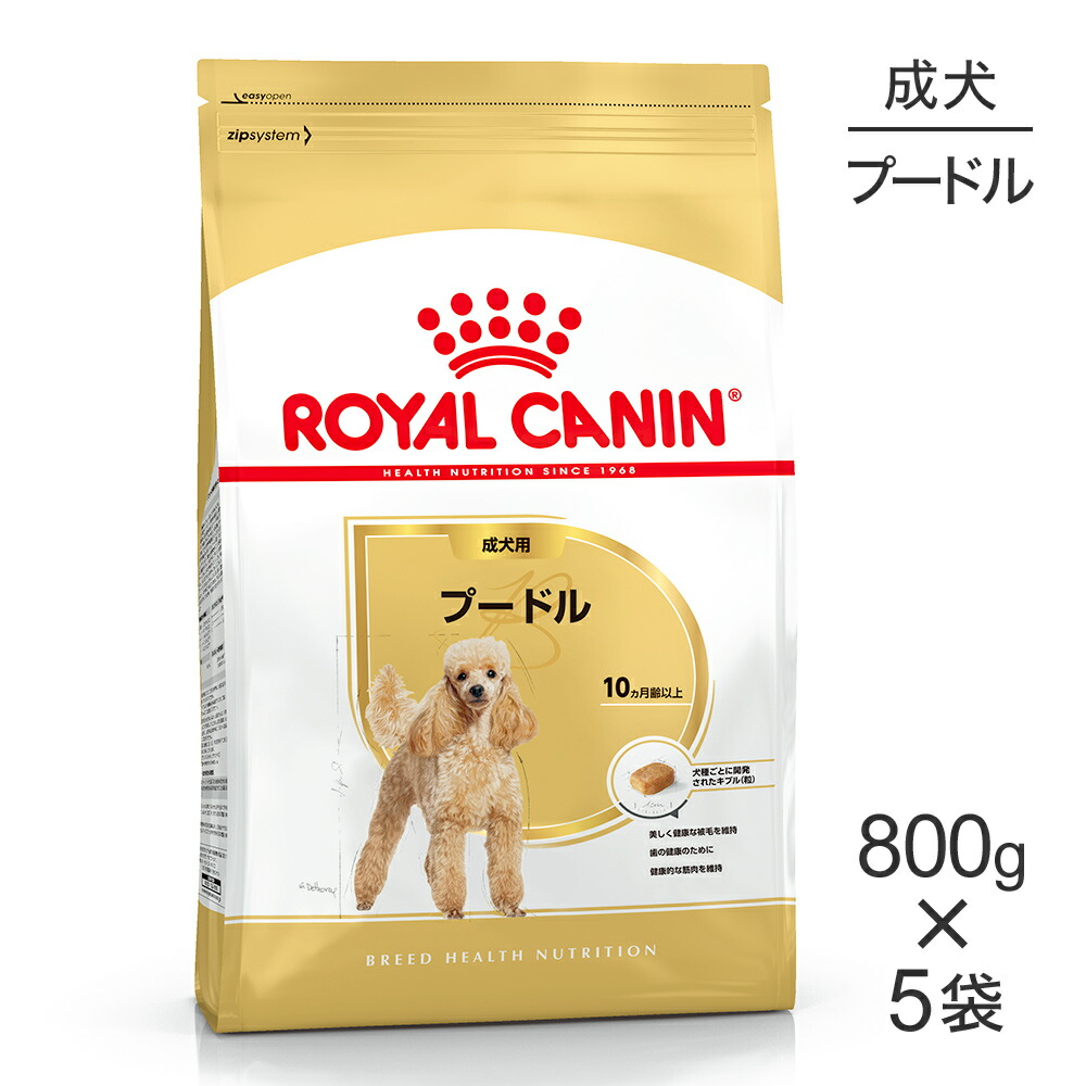 ねこお父ちゃんのデンタルケアに！グリニーズでおいしく世話をする