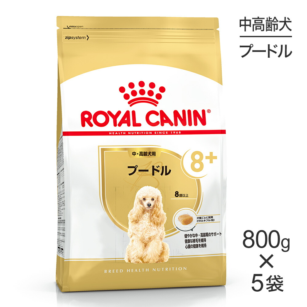 ねこお父ちゃんのデンタルケアに！グリニーズでおいしく世話をする