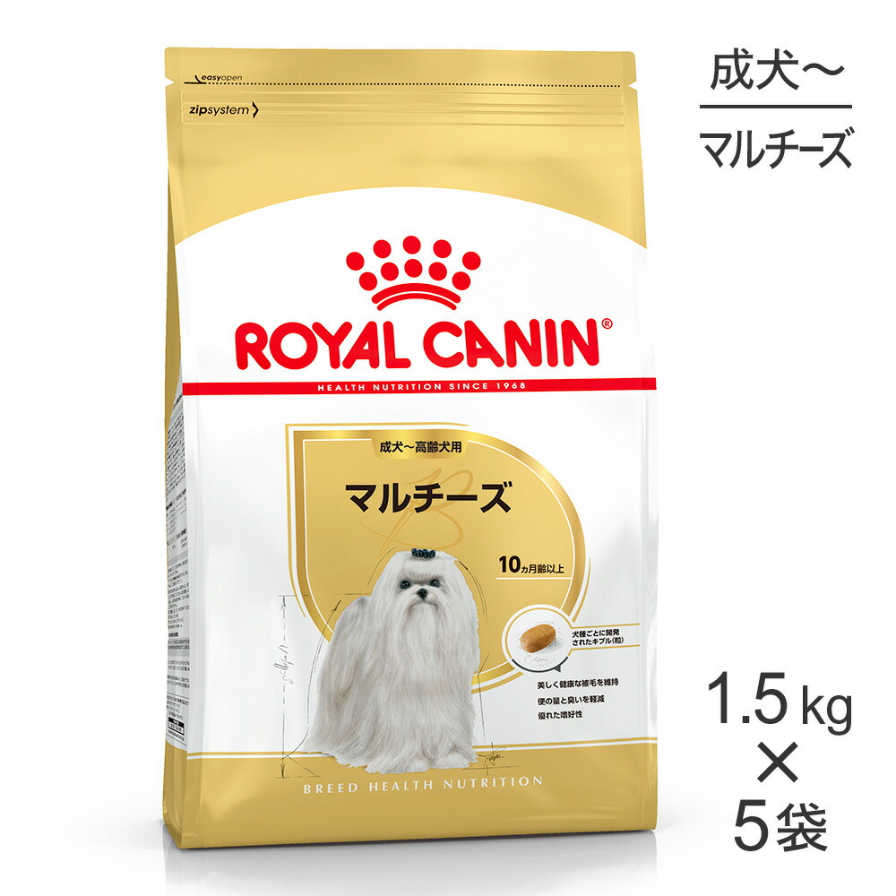 ねこお父ちゃんのデンタルケアに！グリニーズでおいしく世話をする