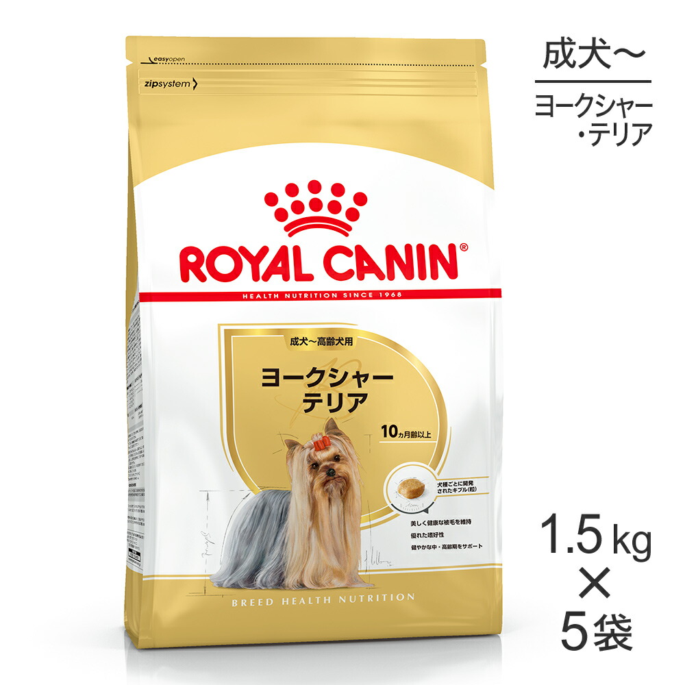 ねこお父ちゃんのデンタルケアに！グリニーズでおいしく世話をする