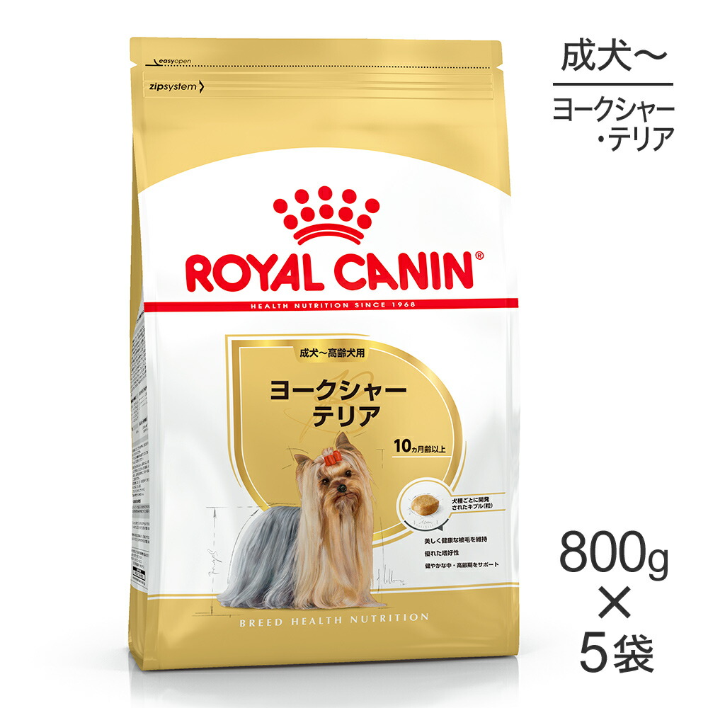 ねこお父ちゃんのデンタルケアに！グリニーズでおいしく世話をする