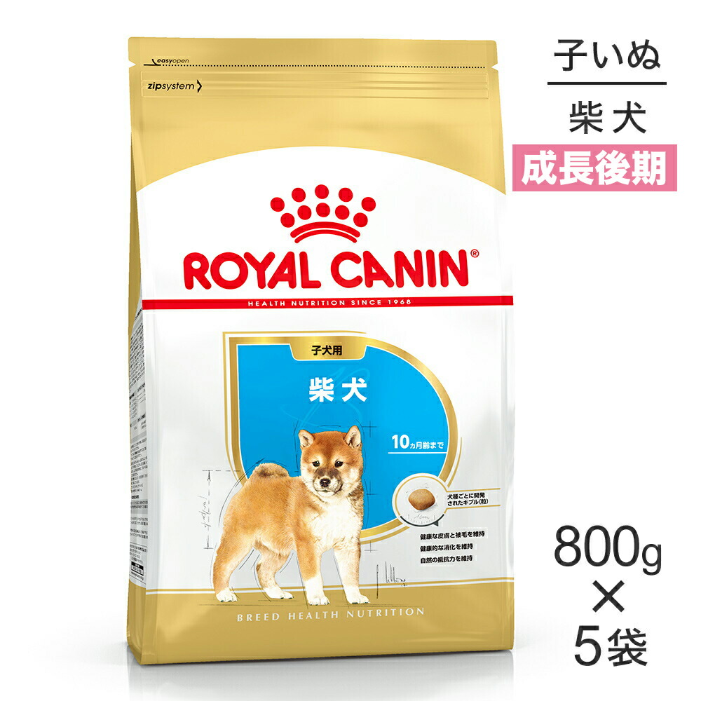 ねこお父ちゃんのデンタルケアに！グリニーズでおいしく世話をする