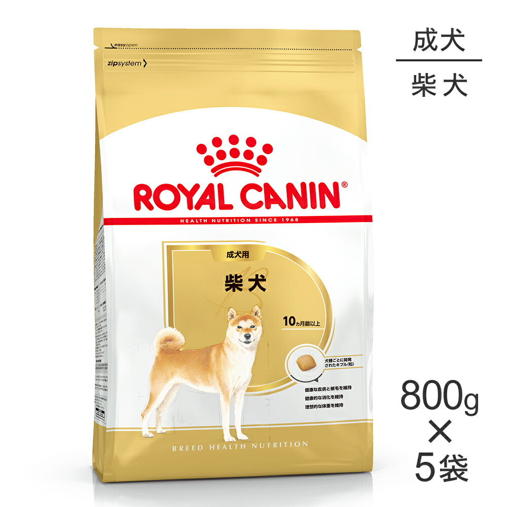 ねこお父ちゃんのデンタルケアに！グリニーズでおいしく世話をする