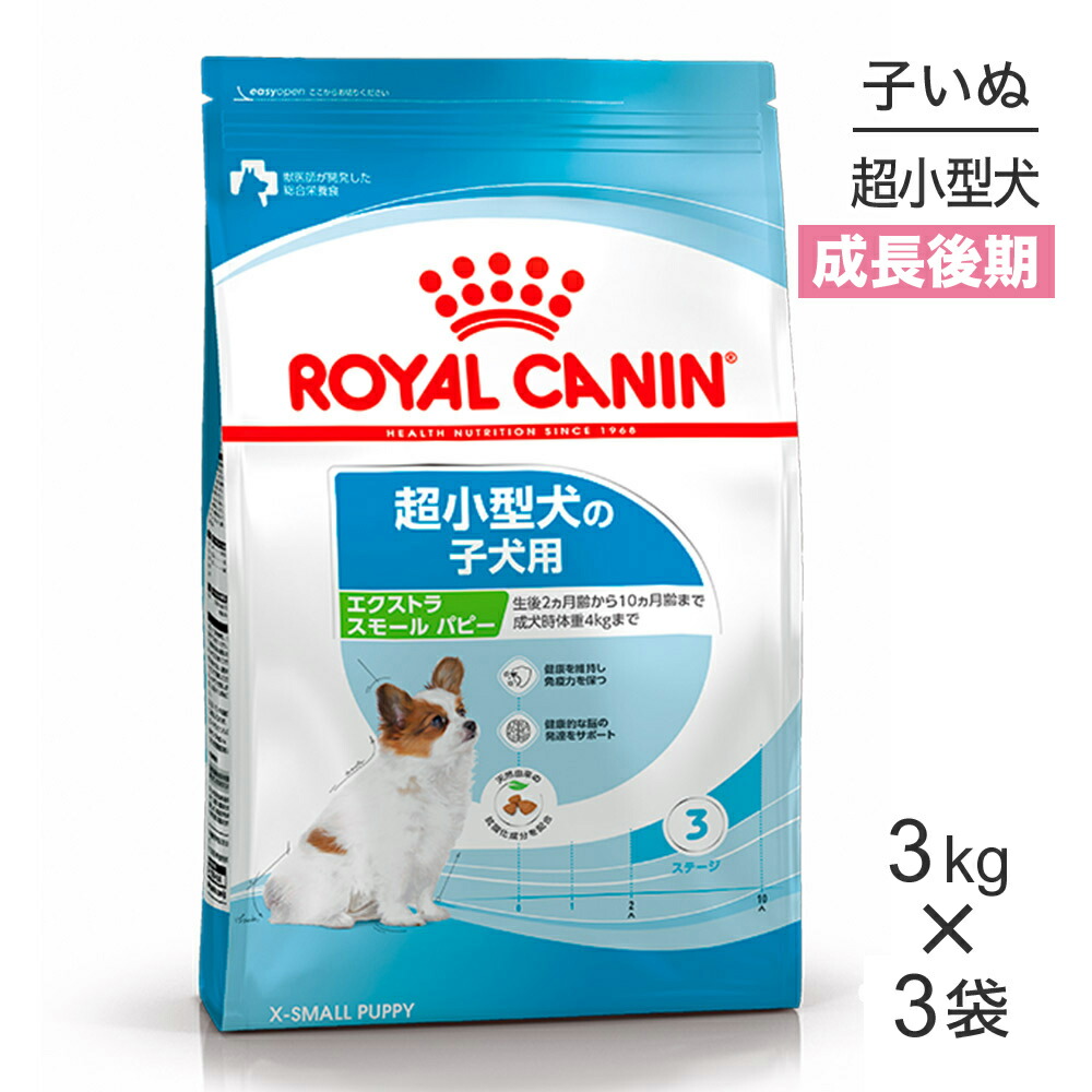 ねこお父ちゃんのデンタルケアに！グリニーズでおいしく世話をする