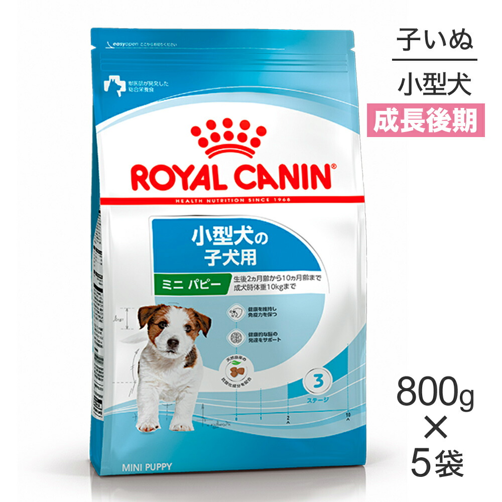 ねこお父ちゃんのデンタルケアに！グリニーズでおいしく世話をする