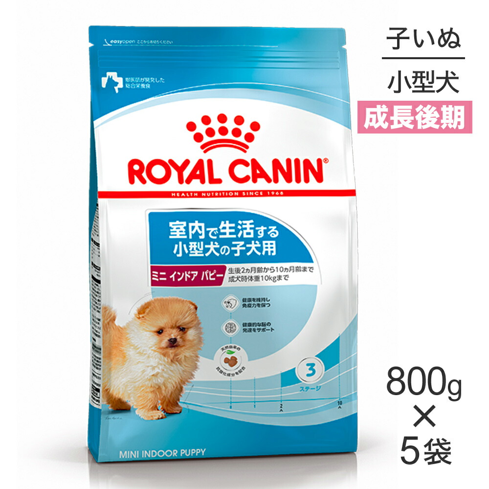 ねこお父ちゃんのデンタルケアに！グリニーズでおいしく世話をする