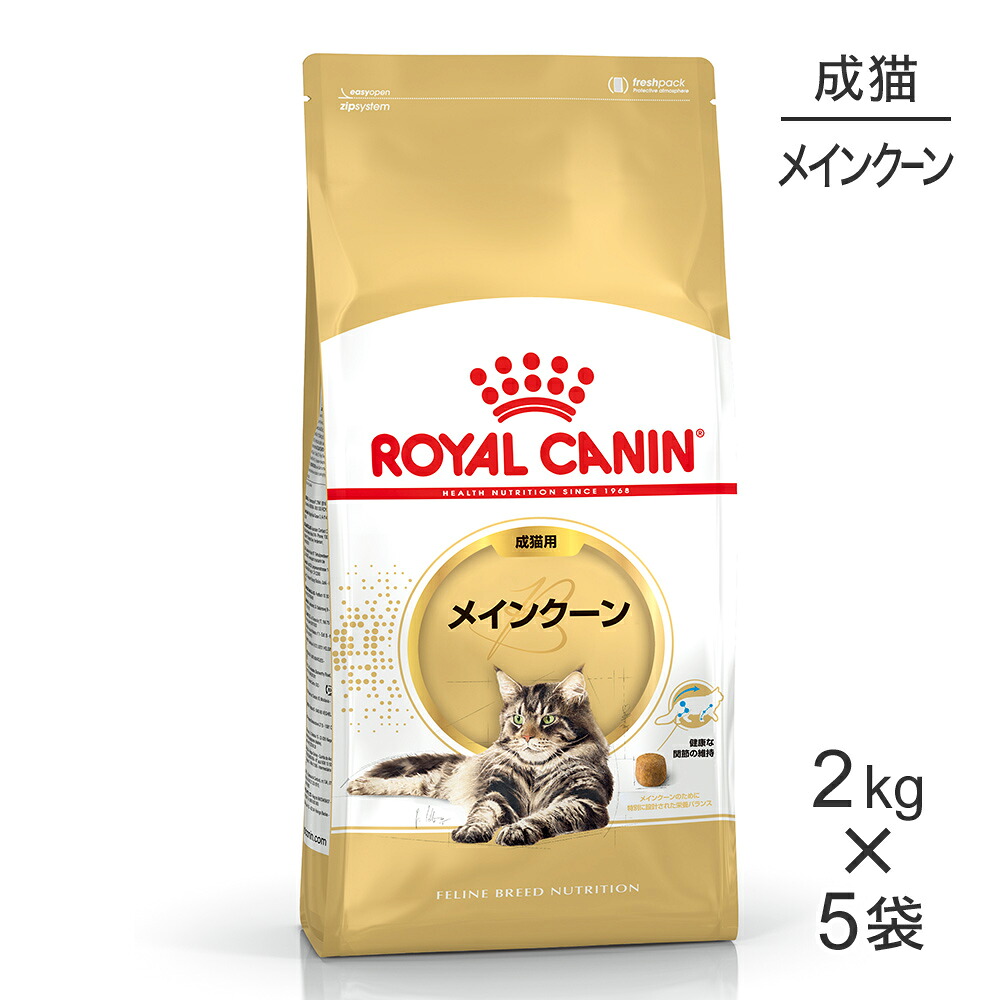 ■最大ポイント10倍【要ｴﾝﾄﾘｰ】【2kg×5袋】ロイヤルカナン FBN メインクーン 成猫用 生後15ヵ月齢から12歳まで (猫・キャット)[正規品]