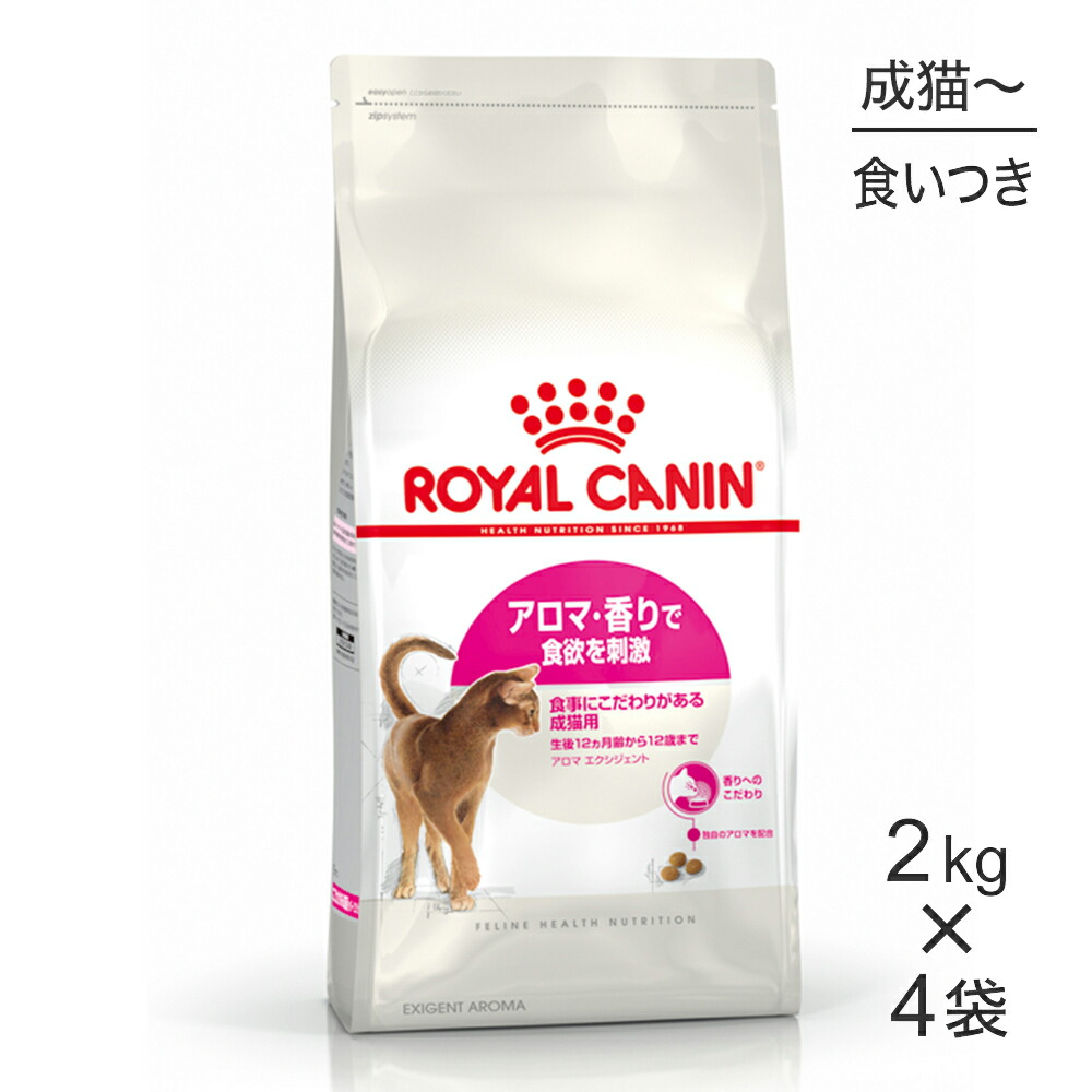 ねこお父ちゃんのデンタルケアに！グリニーズでおいしく世話をする