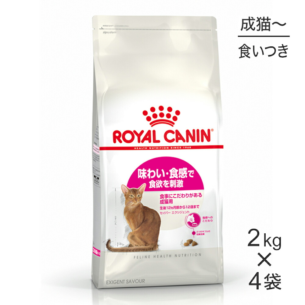 ねこお父ちゃんのデンタルケアに！グリニーズでおいしく世話をする