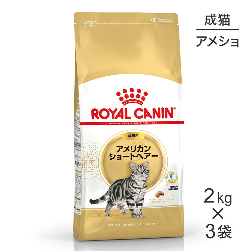 ■最大ポイント10倍【7/19～要ｴﾝﾄﾘｰ】【2kg&times;3袋】ロイヤルカナン FBN アメリカン ショートヘアー 成猫用 生後12ヵ月齢から12歳まで (猫・キャット)[正規品]｜スイートペット