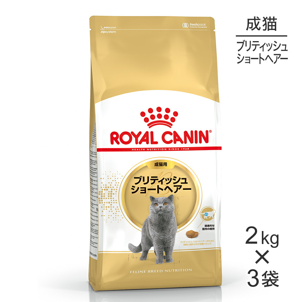 ■最大ポイント10倍【7/19～要ｴﾝﾄﾘｰ】【2kg&times;3袋】ロイヤルカナン FBN ブリティッシュ ショートヘアー 成猫用 生後12ヵ月齢から12歳まで (猫・キャット)[正規品]｜スイートペット