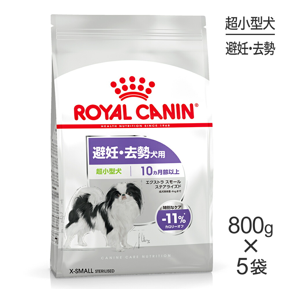 ねこお父ちゃんのデンタルケアに！グリニーズでおいしく世話をする