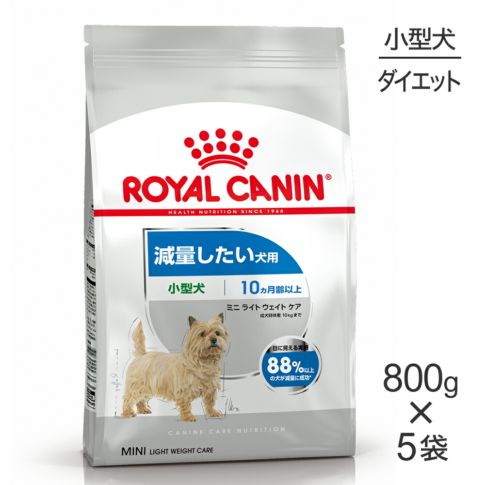 ねこお父ちゃんのデンタルケアに！グリニーズでおいしく世話をする