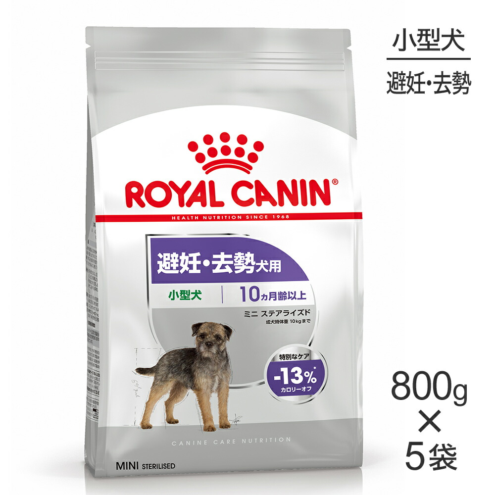 ねこお父ちゃんのデンタルケアに！グリニーズでおいしく世話をする