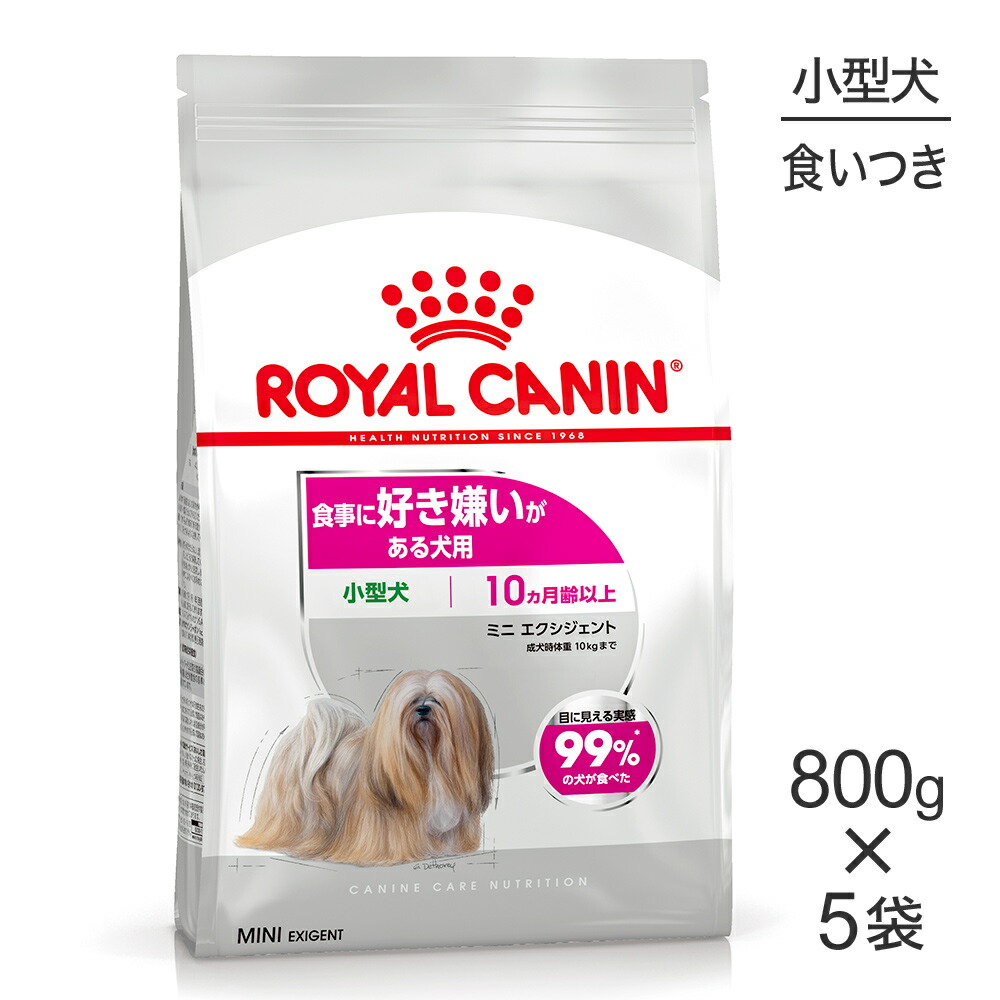 ねこお父ちゃんのデンタルケアに！グリニーズでおいしく世話をする