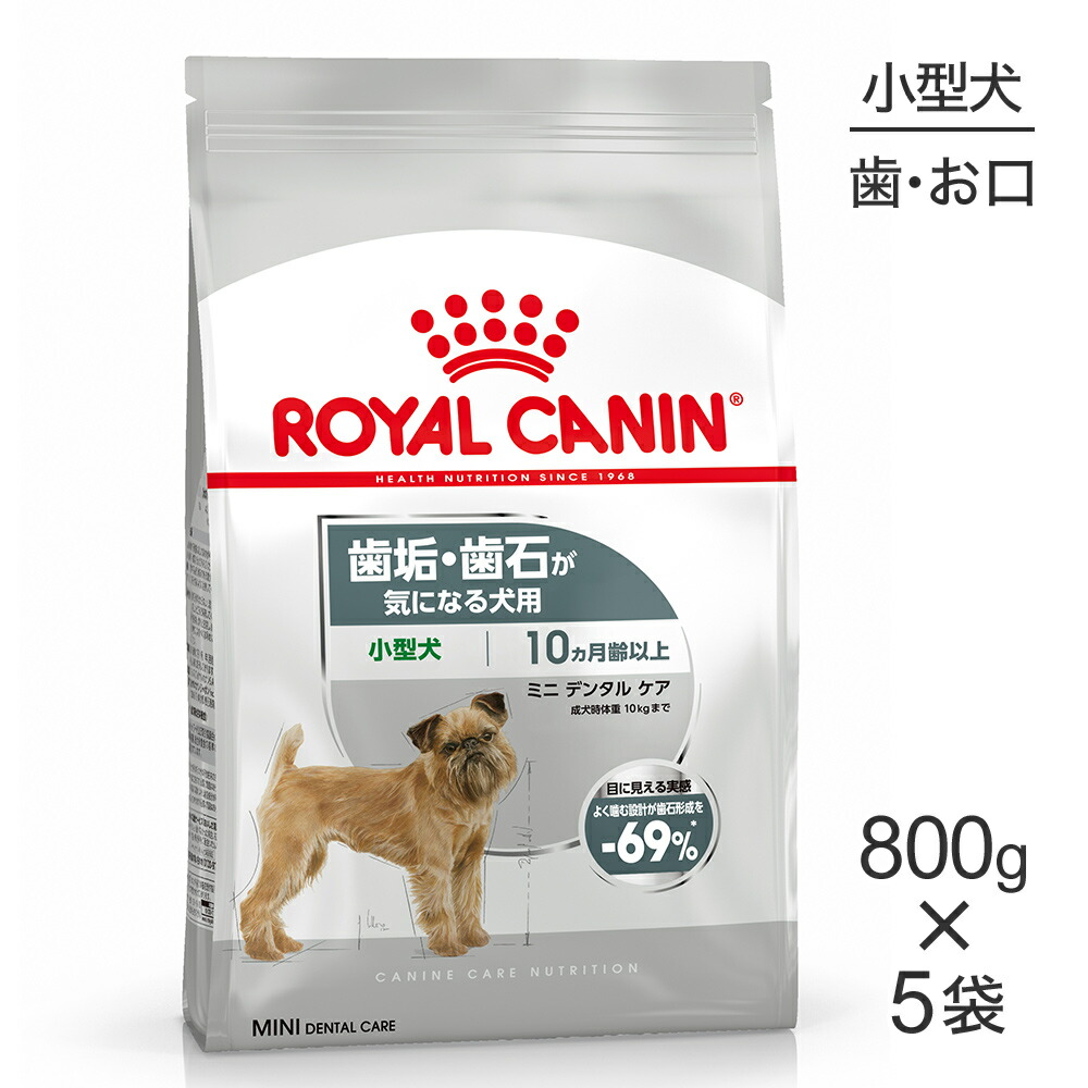 ねこお父ちゃんのデンタルケアに！グリニーズでおいしく世話をする