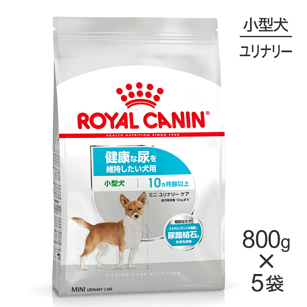 ねこお父ちゃんのデンタルケアに！グリニーズでおいしく世話をする
