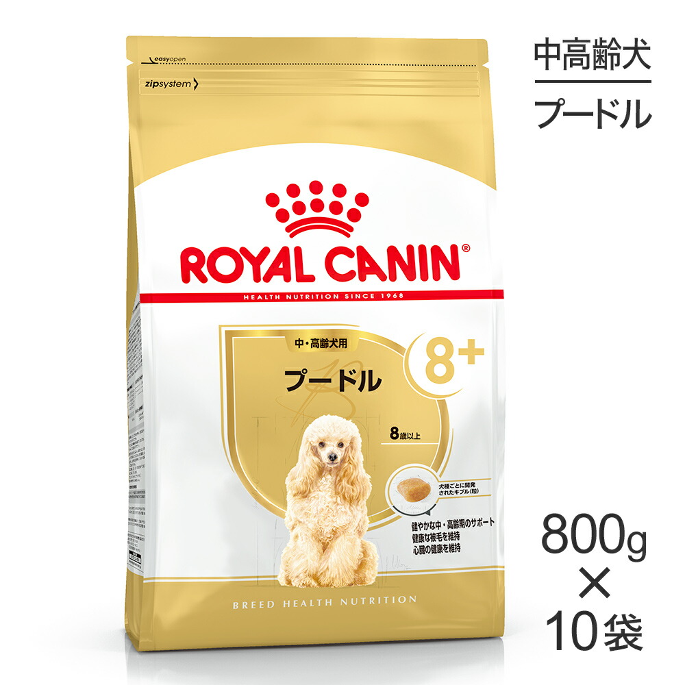 ねこお父ちゃんのデンタルケアに！グリニーズでおいしく世話をする
