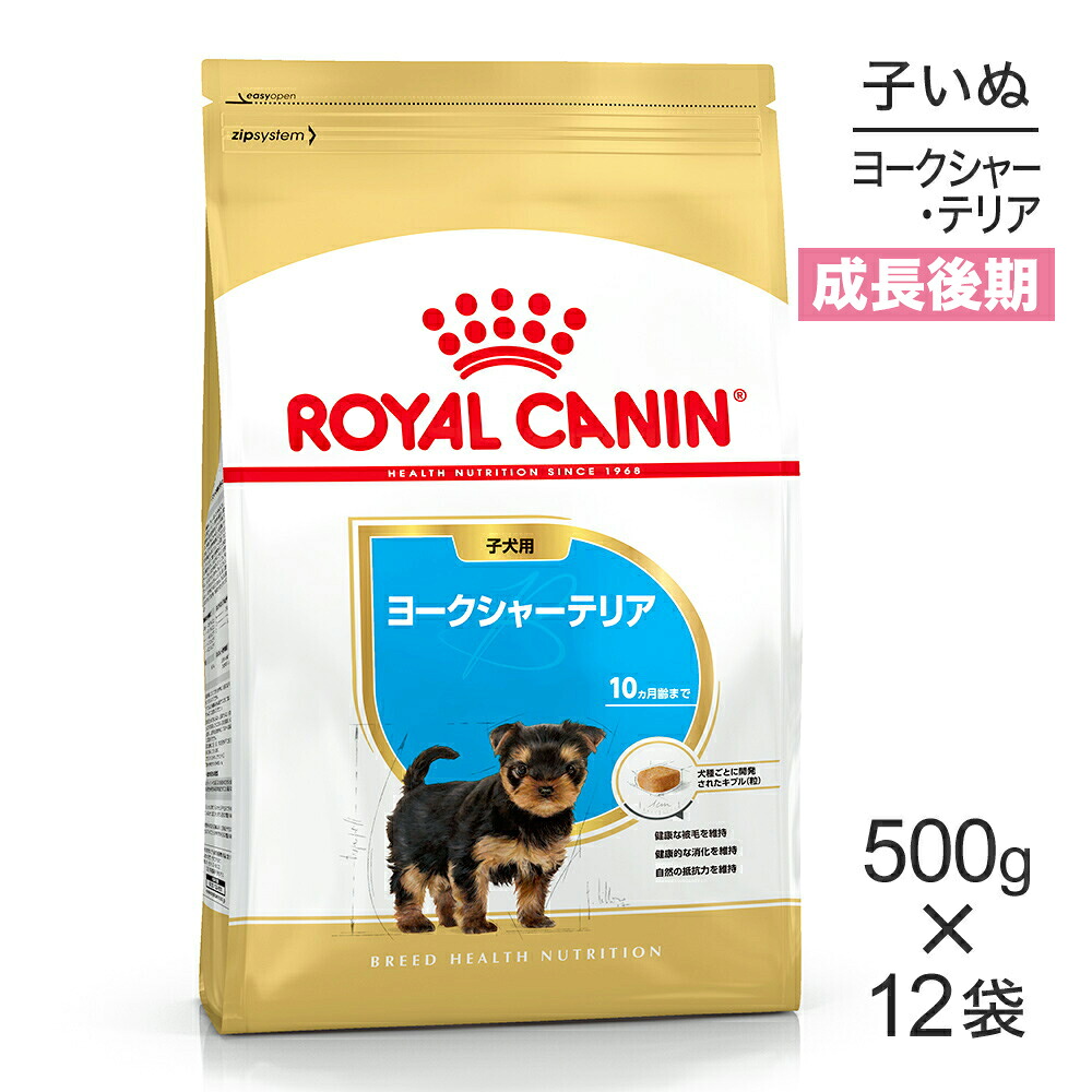 【最大400円ｵﾌｸｰﾎﾟﾝ■要事前取得】【500g×12袋】ロイヤルカナン BHN ヨークシャーテリア 子犬用 生後10ヵ月齢まで (犬・ドッグ)[正規品] 10,957円