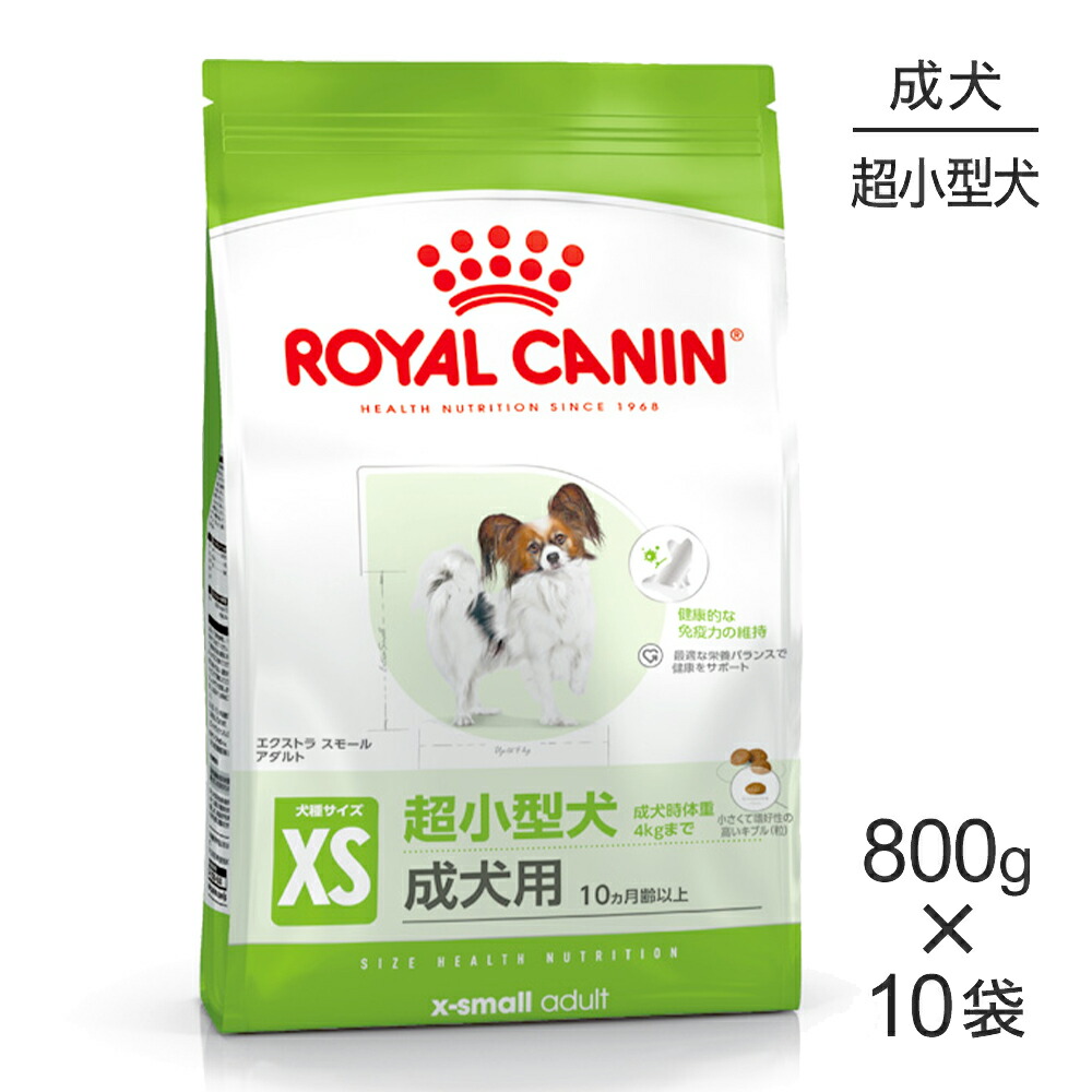 ねこお父ちゃんのデンタルケアに！グリニーズでおいしく世話をする