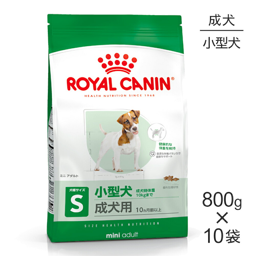 ねこお父ちゃんのデンタルケアに！グリニーズでおいしく世話をする